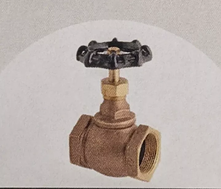 1 1/2" Globe Brass Valve | Direct Pivot Parts