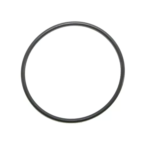 1093X12 (V) | O-ring (Viton)