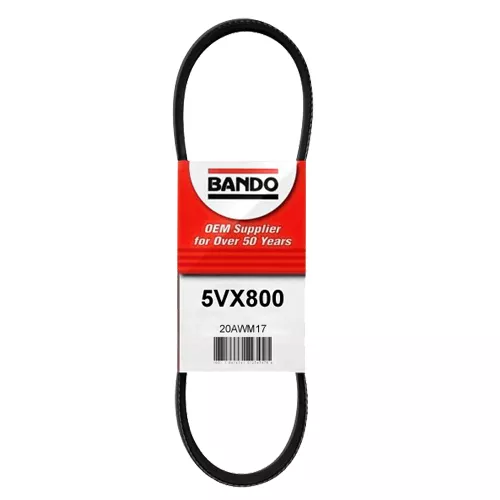 Bando | 5VX800 | Super HC Molded Notch V-Belt