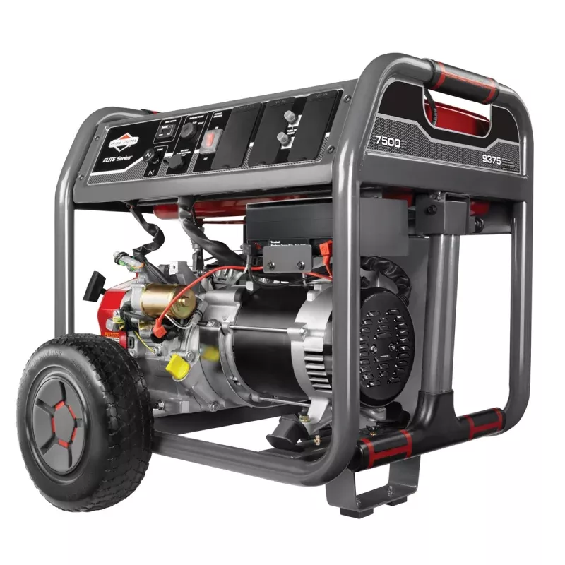 Briggs and Stratton BRG030552 Briggs & Stratton