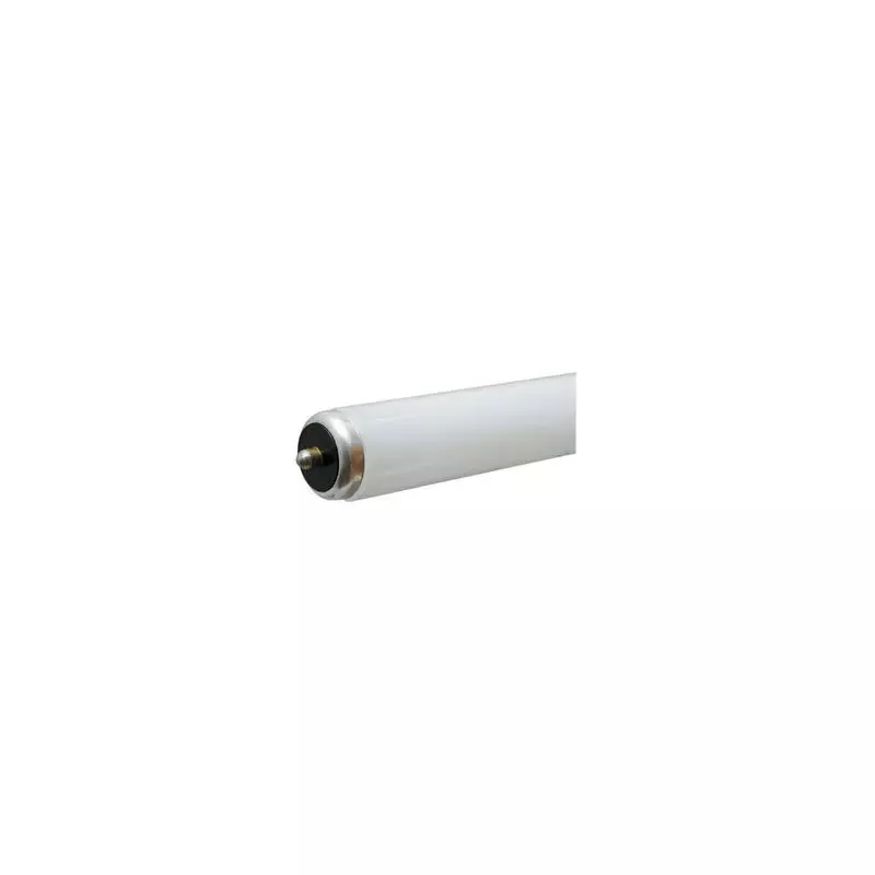 Fluorescent Tube, Cool White, 60-Watts, 8-Ft.