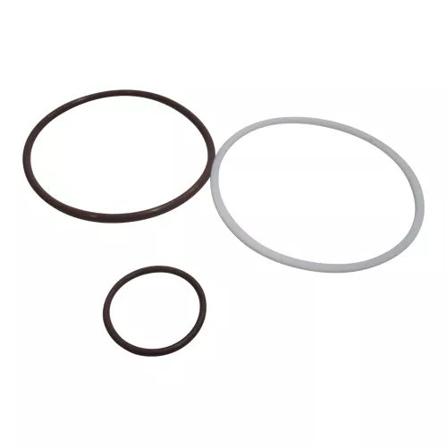 Mahle | 77637168 | Viton Seal Kit