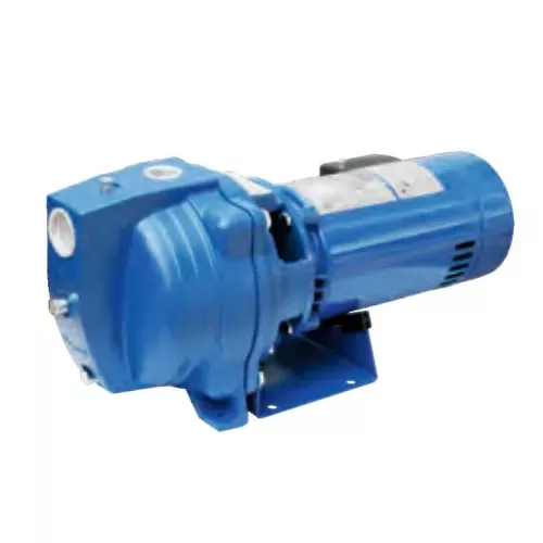 Shallow Well Jet Pumps (Select Type) | Direct Pivot Parts